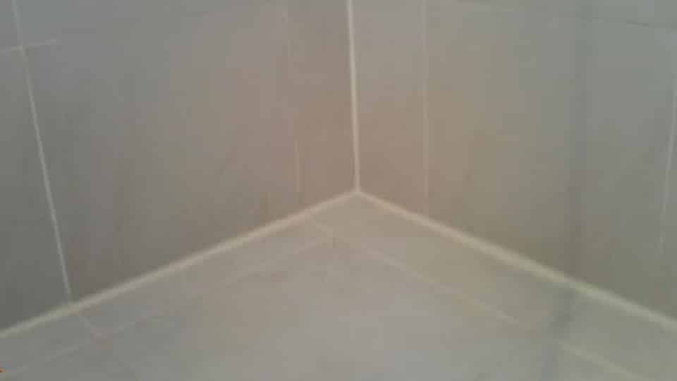 leak detector